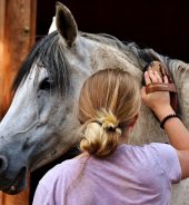 Qualität im pferdegestützten Coaching: Darauf kommt es an!