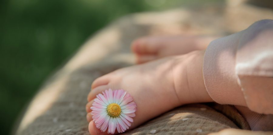 Aktuell bin ich in Elternzeit